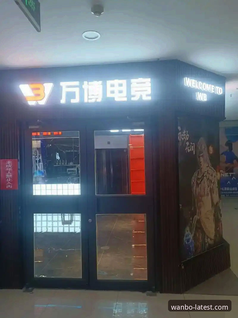 万博电子竞技手机版使用心得：从新手到达人的实战经验分享